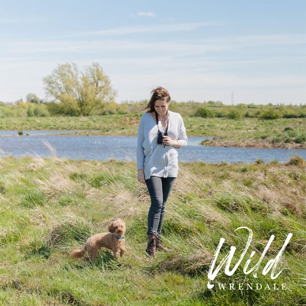 Wild Wrendale