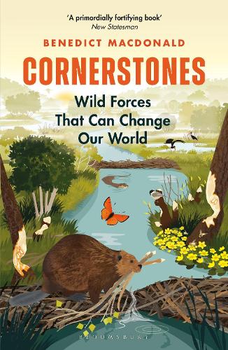 'Cornerstones' by Benedict Macdonald