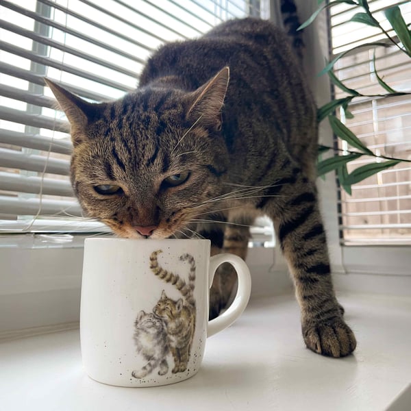 'Feline Friends' cat mug