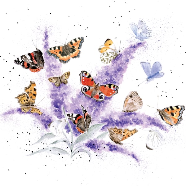 Butterflies and Buddleia