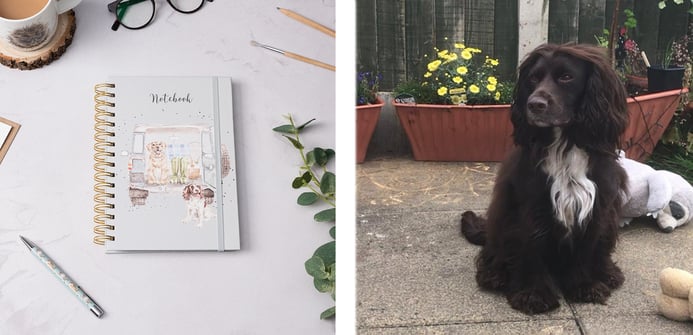 'Paws for a picnic' Spaniel & Labrador Notebook
