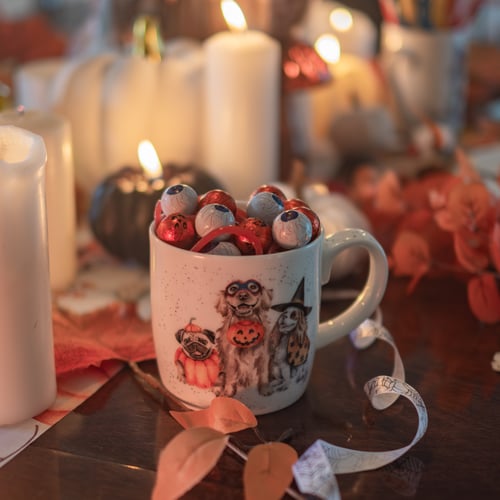 Trick or Treat Halloween inspired mug by Wrendale Designs