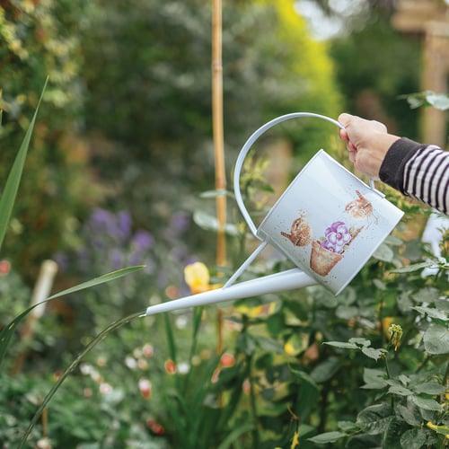 'Pottering About' watering can by Wrendale Designs