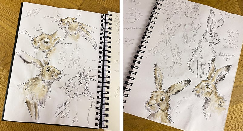 Artist Hannah Dale hare sketches