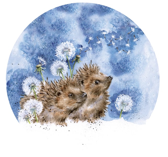 'Brighter Days Ahead' Hedgehog print