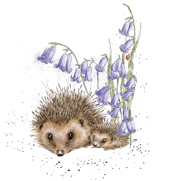 'Love and Hedgehugs' hedgehog print