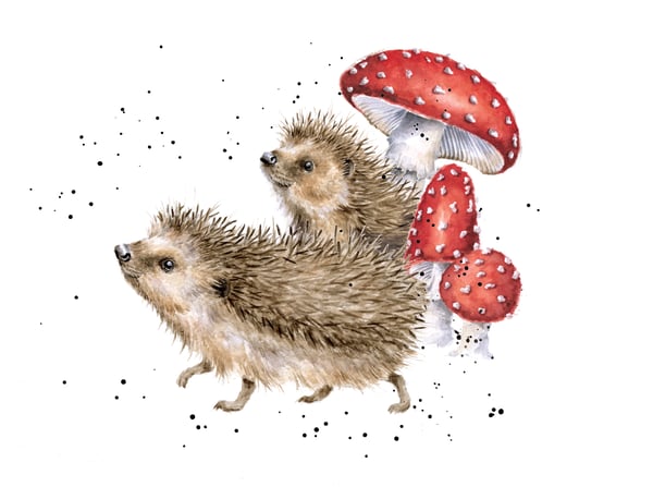 'A prickly adventure' hedgehog print