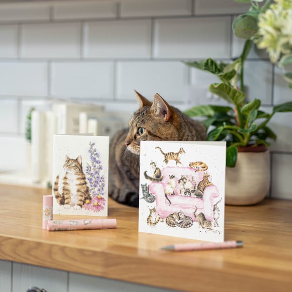 Gifts for cat lovers by Wrendale Designs