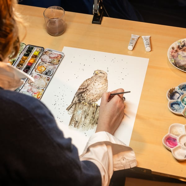 Hannah painting a kestrel 