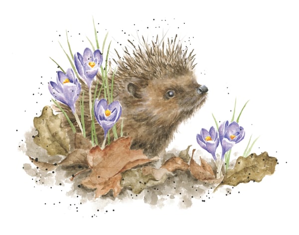 'New Beginnings' hedgehog print