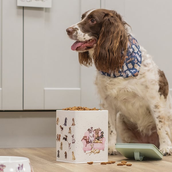Springer spaniel, Willow, using the new dog treat tin from Wrendale Designs