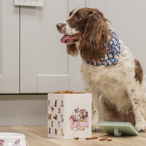 Spaniel gift guide