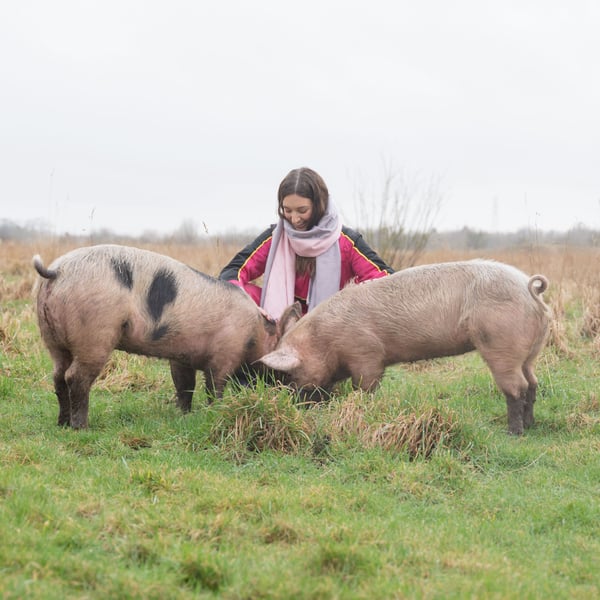 Executive assistant Meg with the pigs