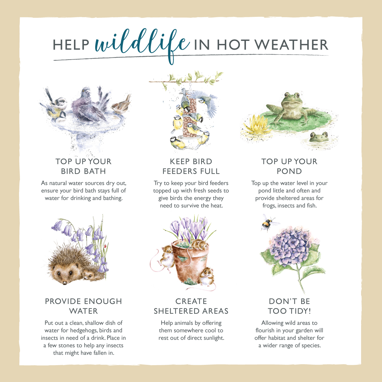 How to help wildlife in hot weather