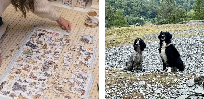 'A Dog's Life' jigsaw puzzle